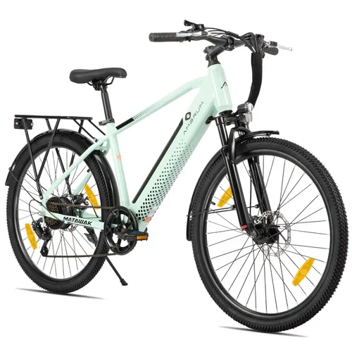 Hiland 26 Zoll E-Mountainbike mit 250W Motor und 7 Gängen