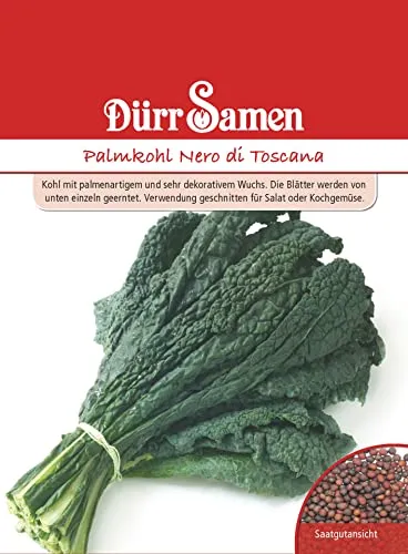 Dürr-Samen - Palmkohl Nero di Toscana Saatgut