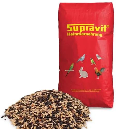 Supravit Kanarienfutter Basis - 25kg Sack schmackhaftes Kanarienvogel Futter - Hauptfutter für Kanarienvögel enthält einen hohen Anteil an Kanariensaat und wertvolle Rübsen