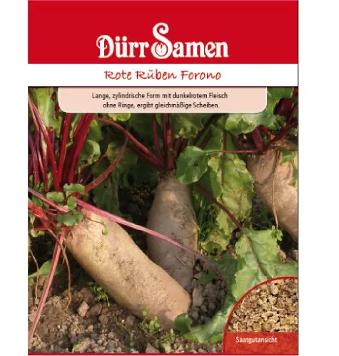 Rote Rüben Forono in rot von Dürr Samen