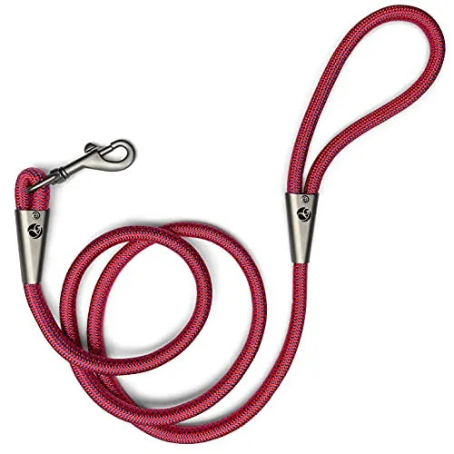 Hundeleine/Führ-Leine Premium, strapazierfähige Trainings-Leine mit Hand-Schlaufe 1,50 Meter (Rot-Blau)