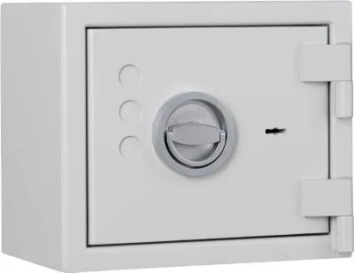 Format Wertschutzschrank Lyra Pro X, B 340 × T 220 × H 287 mm, 5,6 Liter, lichtgrau 665015