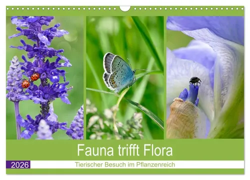 Christine B-B Müller | Fauna trifft Flora - Tierischer Besuch im...
