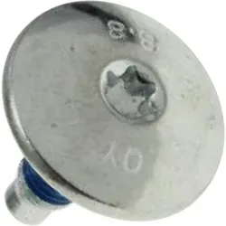 Candy,hoover - Ersatzteil - Riemenscheibenschraube M10 - - candy, saba, hoover, haier, zerowatt, otsein