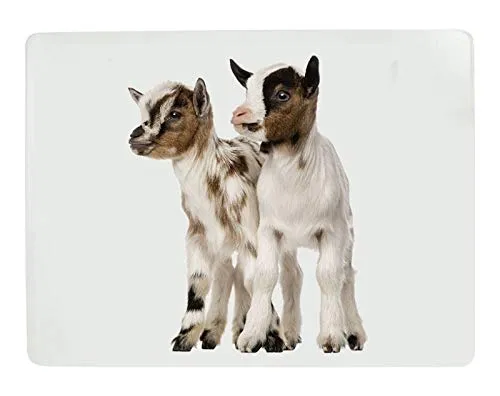 Mars & More 4-teiliges Tischset-Set Ziege - Landhaus Platzset Zwergziege Platzmatten