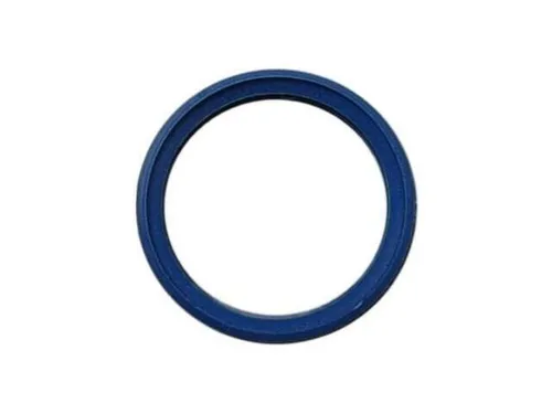 Buderus 7096475 Lippendichtung DN80 (blau)