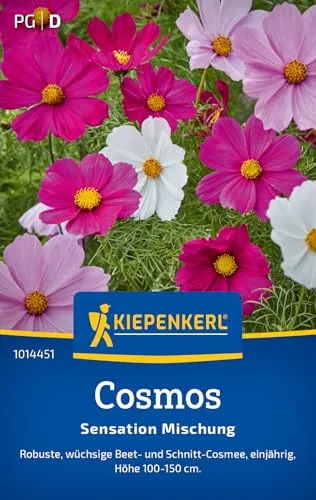 Kiepenkerl Cosmossamen Sensation Mischung 1014451