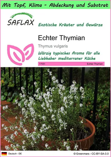 SAFLAX Kräutersamen SAFLAX - Garden to go - Echter Thymian