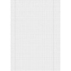 BRUNNEN Kanzleipapier A3 gefalzt auf A4 kariert - Hochwertiges Kanzleipapier in A3, gefalzt auf A4, mit kariertem Design und Randlinie. Ideal für professionelle Dokumente und Schulschreibarbeiten, 50 Blatt pro Packung.