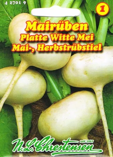 Mairübe Holländische Weiße (Portion) in weiß von N.L. Chrestensen