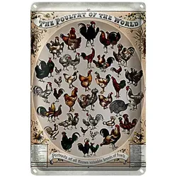 Roomando Metallschild Geflügelart 12x18cm the poultry of the worls