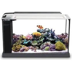 Fluval Evo Meeresaquarium 19L, Schwarz in schwarz von Fluval
