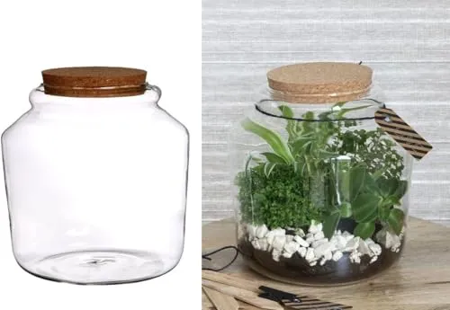NaDeco Pflanzen-Terrarium aus Glas, mit Korken, in Zwei Größen wählbar | Pflanzenterrarium | Flaschengarten | Glas Terrarium für Pflanzen | Biosphären-Glas | Pflanzenglas, Größe:Ø18 h.18 cm