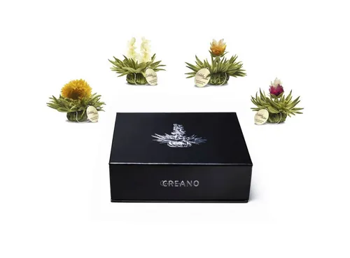 Creano Tee Magnetbox 6er Teelini Weißer Tee