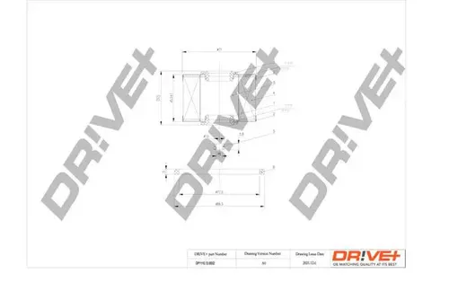 Dr!ve+ Kraftstofffilter DP1110.13.0032