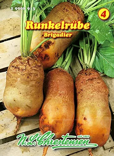 Runkelrübe, Brigadier orangefarbig N.L.Chrestensen Samen 29908913