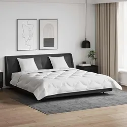vidaXL Bettdecke mit Kissen Set 240 x 220 cm - Bettwäschen-Set aus atmungsaktiver Mikrofaser für angenehme Sommernächte, inklusive 2 Kissen für extra Komfort und Unterstützung.
