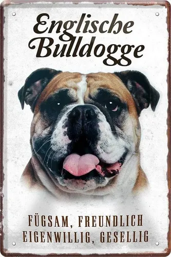 WOGEKA ART Metallbild Hunde-Rassen Steckbrief 20 x 30 cm Blechschild Haustier Hund Deko, Englische Bulldogge