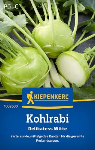 Kiepenkerl Kohlrabisamen Delikatess Witte 1009600 - Zarte Knollen - Inhalt für 150 Pflanzen - Gemüsesamen, Samen Gemüse, Saatgut, Gemüse Pflanzen