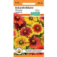 SAMEN PFANN Kokardenblume Gaillardia Mischung