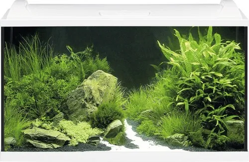 EHEIM Aquarium-Set Aquapro LED 126, Weiß - Aquarien-Set mit 126 l Volumen, inkl. LED-Beleuchtung und kompletten Zubehör für eine einfache Einrichtung und Pflege Ihrer Wasserwelt.