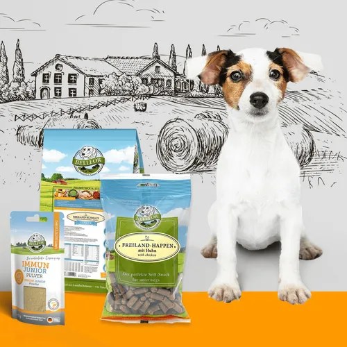 Bellfor Welpenfutter Set für kleine Rassen - Super Angebote für Ihren Welp