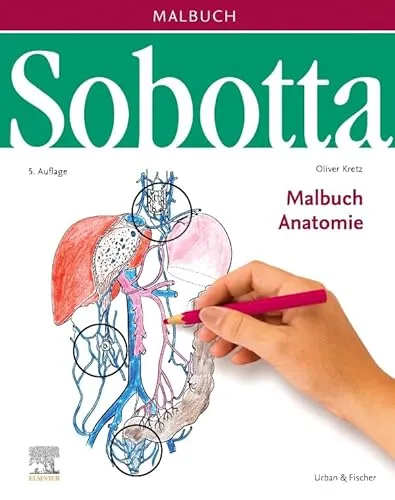 Produktbild Sobotta Malbuch Anatomie