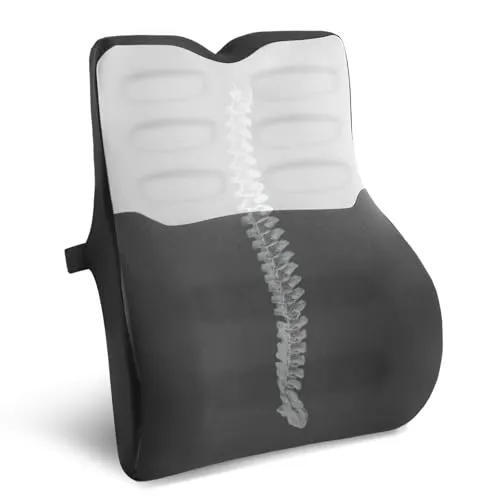 Quirlig Lendenwirbelkissen, Lendenkissen Auto, Lordosenstütze, Rückenkissen Memory Foam, Ergonomisches Rückenstützkissen fur Zuhause, Büro, Auto
