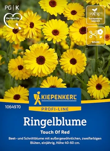Kiepenkerl Profi-Line Ringelblumensamen Touch Of Red 1064970 - Außergewöhnliche Ringelblumen für lebendige Gartenakzente - Wildblumensamen, Blumenwiese, Saatgut