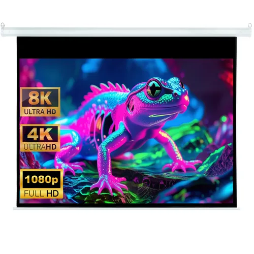 4:3 COMM-TEC Wallmaster Beamer Rolloleinwand 213 x 165 (203x152)cm 100