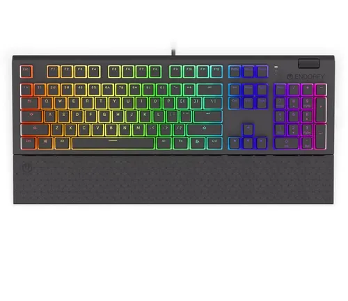 WIE NEU: ENDORFY Omnis Mechanische Gaming Tastatur US QWERTY RGB USB Schwarz OVP
