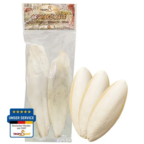 Stück Sepia Schale - Sepiaschalen ca. 16-30cm gross 2