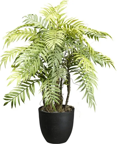 Kunstpflanze Farnpflanze Baumfarn 60 cm - Elegante Kunstpflanze im Topf, ideal für stilvolle Einrichtungen. Der naturgetreue Baumfarn mit zahlreichen Wedeln bringt Frische in dein Zuhause und ist sofort einsatzbereit.