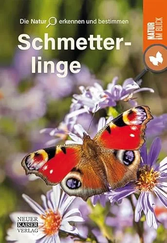 Schmetterlinge: Die Natur erkennen und bestimmen - Natur im Blick
