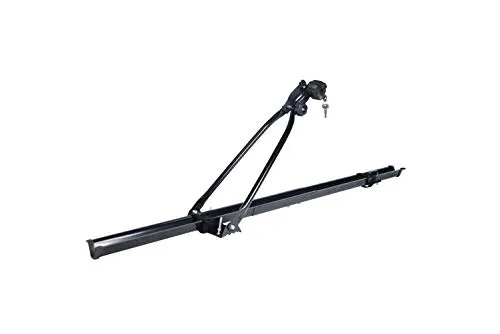 Cam 1237 Big Fahrradträger