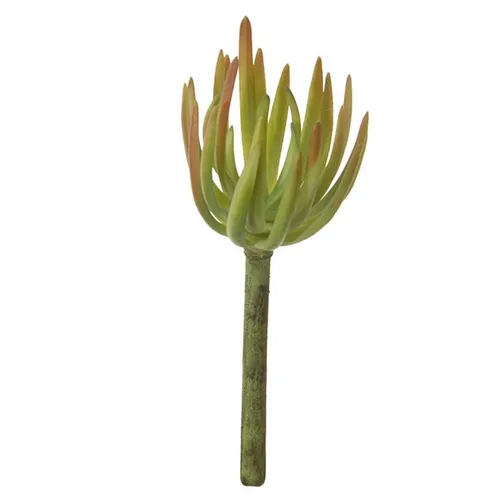 artplants Künstliche Sedum pachyphyllum KAIKALE, grün-rot, 21cm, Ø7cm