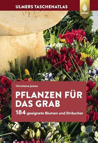 Pflanzen für das Grab: 184 geeignete Blumen und Sträucher