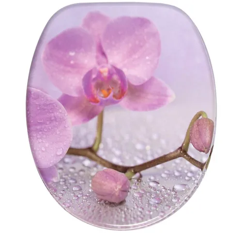 Sanilo WC-Sitz Blooming mit Absenkautomatik von Sanilo