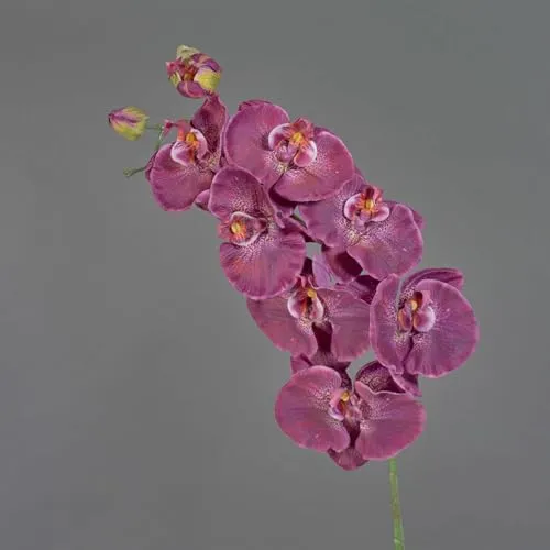 artplants.de Kunststoff Phalaenopsis Orchidee WESA, dunkelviolett-weiß, 100cm - Künstlicher Orchideenzweig