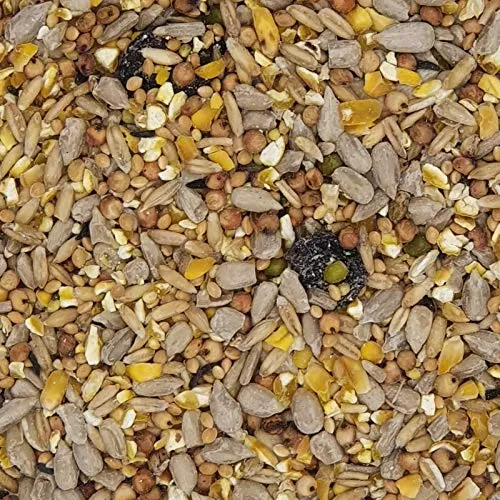 Wildvogelfutter ohne Schalen 2,5kg - Ganzjahresfutter Winterfutter Sommerfutter Winterstreufutter