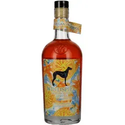 Windspiel Spritz up your life Alkoholfrei 0,5l