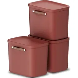 Rotho Maloja 3er-Set Aufbewahrungsbox 25l mit Deckel, rot - Praktische 25l Aufbewahrungsbox im 3er-Set für vielseitige Nutzung in jedem Raum. Mit Deckel und Griffen, ideal für Ordnung und Platzersparnis. Pflegeleichter Kunststoff, stapelbar und in verschiedenen Größen erhältlich!
