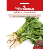 Dürr Samen Mairüben Teltower Kleine Saatgut