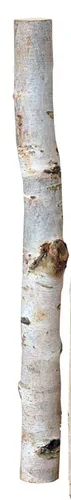 Birkenholzsticks 100% Natur 40 cm