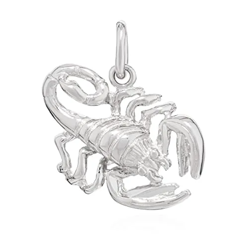 NKlaus Kettenanhänger Sternzeichen Scorpion aus 925 Silber - Eleganter Kettenanhänger für Damen im 3D-Design, gefertigt aus hochwertigem 925 Sterlingsilber, perfekt für Sternzeichen-Liebhaber.