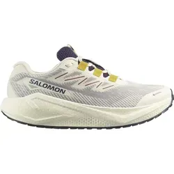 SALOMON AERO BLAZE 3 GRVL GTX in beige von Salomon