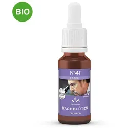 Bachblüten Nummer 4 1 Focus Tropfen