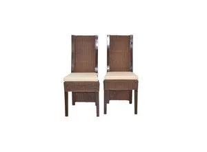 Rattanstuhl 2er-Set mit Sitzkissen in braun von MD Möbel-direkt-online