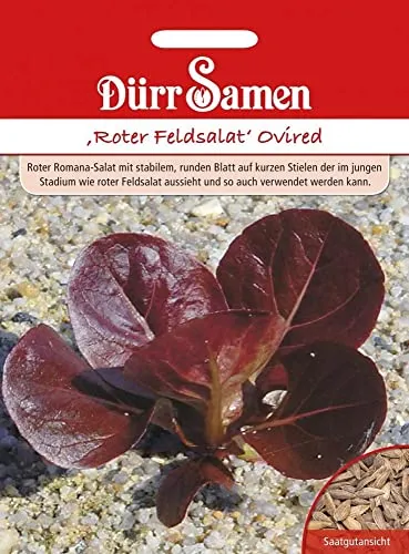 Dürr-Samen - Roter Feldsalat Ovired Saatgut