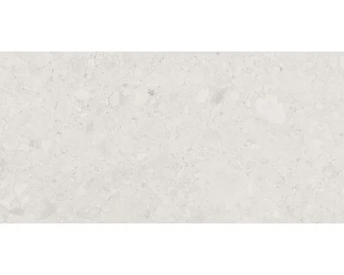 Feinsteinzeug Wand- und Bodenfliese Terrazzo Donau 30 x 60 cm beige matt rektifi
